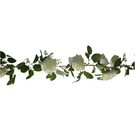 GUÍA DE ROSAS CREMA