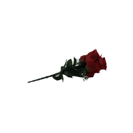 ROSAL BOTÓN ROJO X7