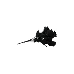 ROSAL BOTÓN NEGRO X7