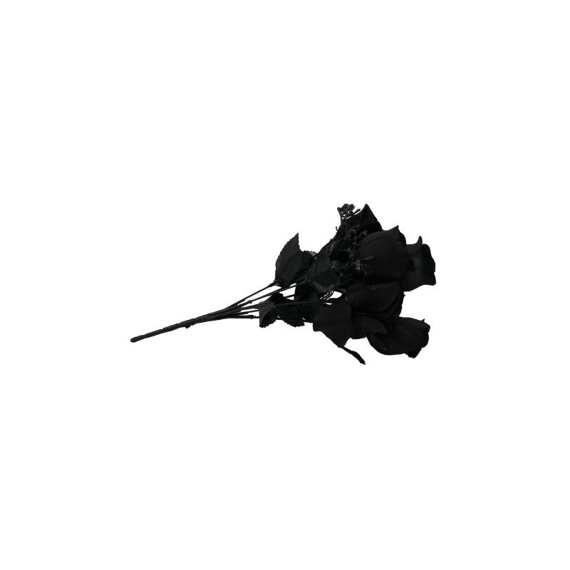 ROSAL BOTÓN NEGRO X7