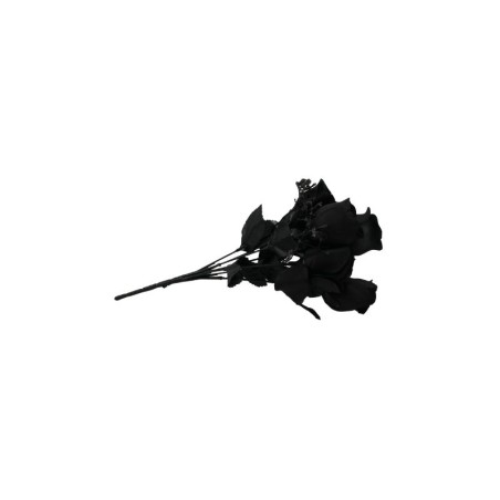 ROSAL BOTÓN NEGRO X7