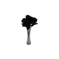 ROSAL BOTÓN NEGRO X7