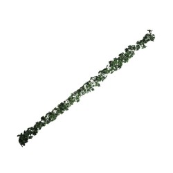 GUÍA VERDE/BLANCO DE PARRA