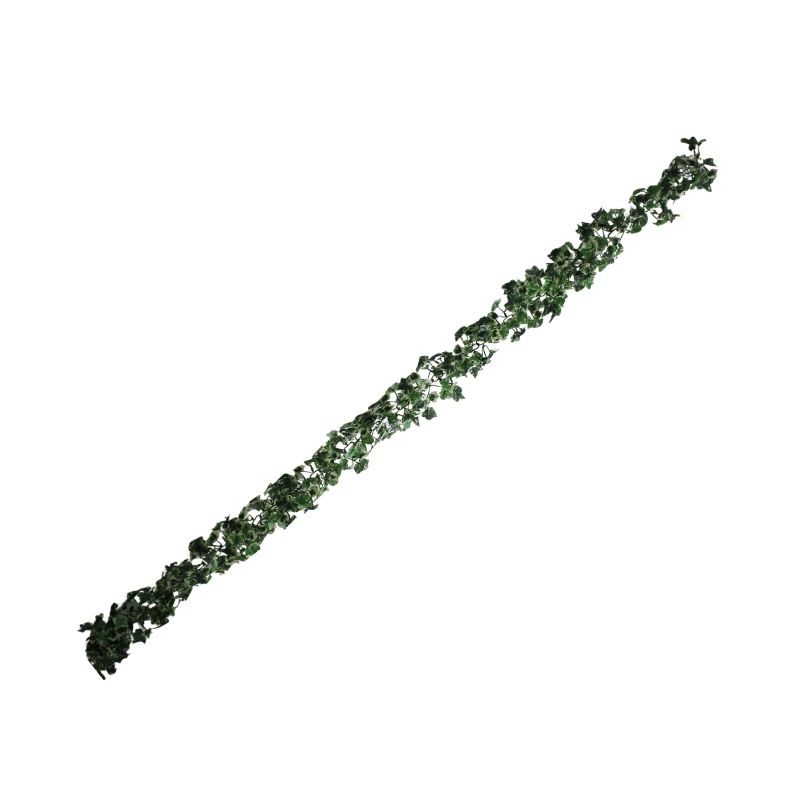 GUÍA VERDE/BLANCO DE PARRA