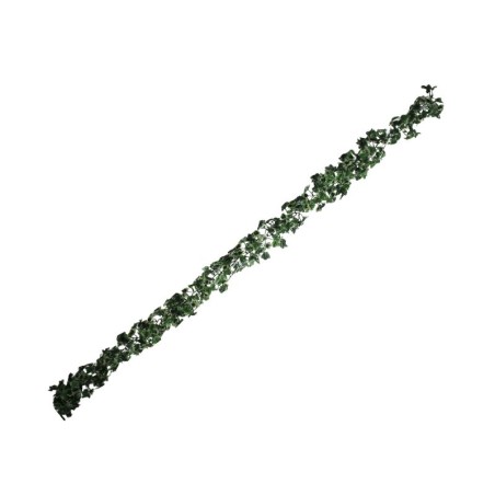 GUÍA VERDE/BLANCO DE PARRA