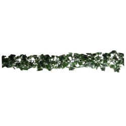GUÍA VERDE/BLANCO DE PARRA