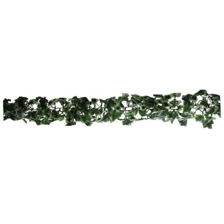 GUÍA VERDE/BLANCO DE PARRA
