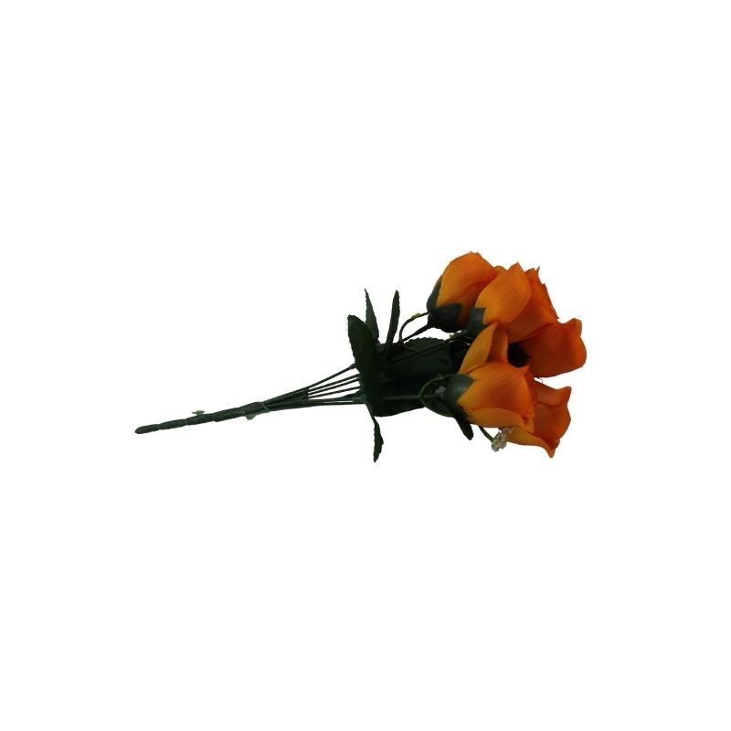 ROSAL BOTÓN NARANJA X7