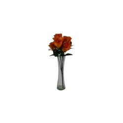 ROSAL BOTÓN NARANJA X7
