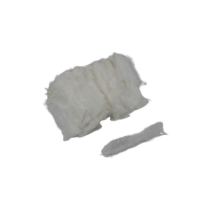 PLUMA DE PAVO BLANCA
