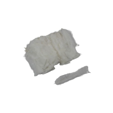PLUMA DE PAVO BLANCA