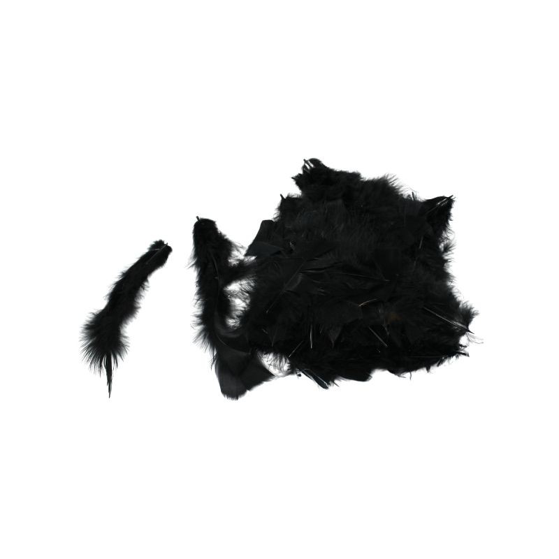 PLUMA DE PAVO NEGRA