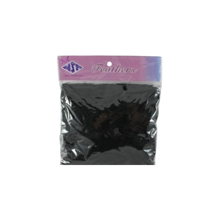 PLUMA DE PAVO NEGRA