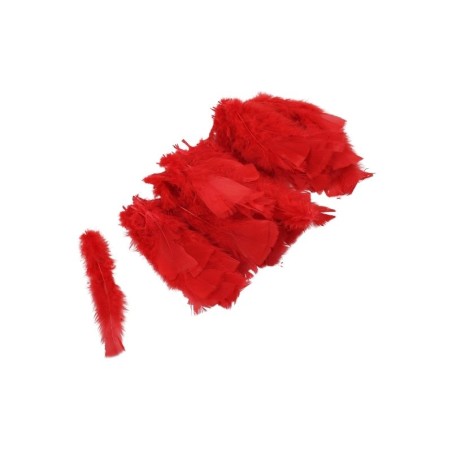 PLUMA DE PAVO ROJO