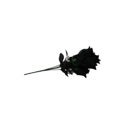 ROSAL BOTÓN NEGRO X6