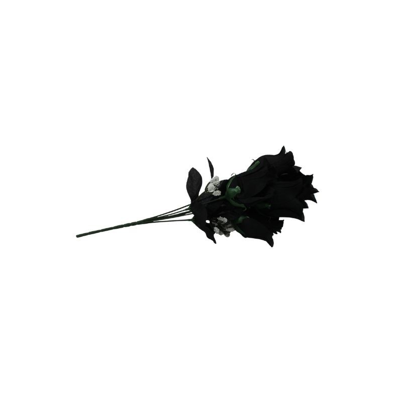 ROSAL BOTÓN NEGRO X6