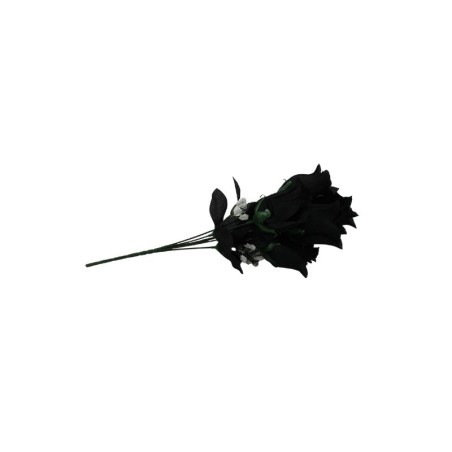 ROSAL BOTÓN NEGRO X6