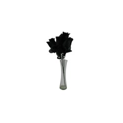 ROSAL BOTÓN NEGRO X6
