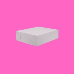 CAJA DE 26X23CM
