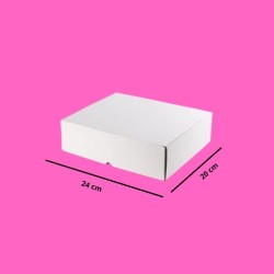 CAJA DE 24X20CM