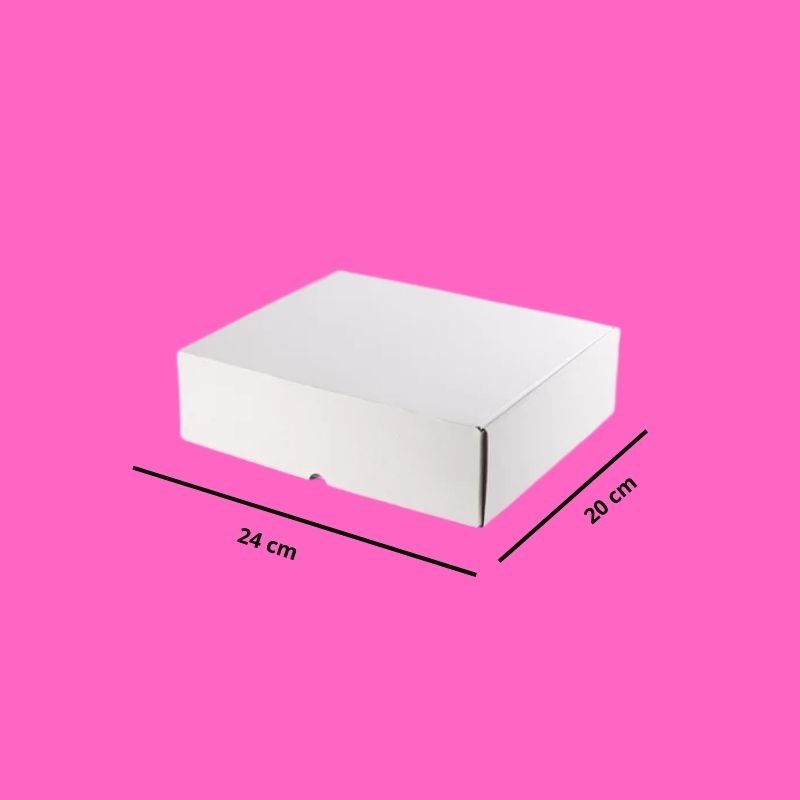 CAJA DE 24X20CM