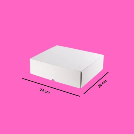 CAJA DE 24X20CM