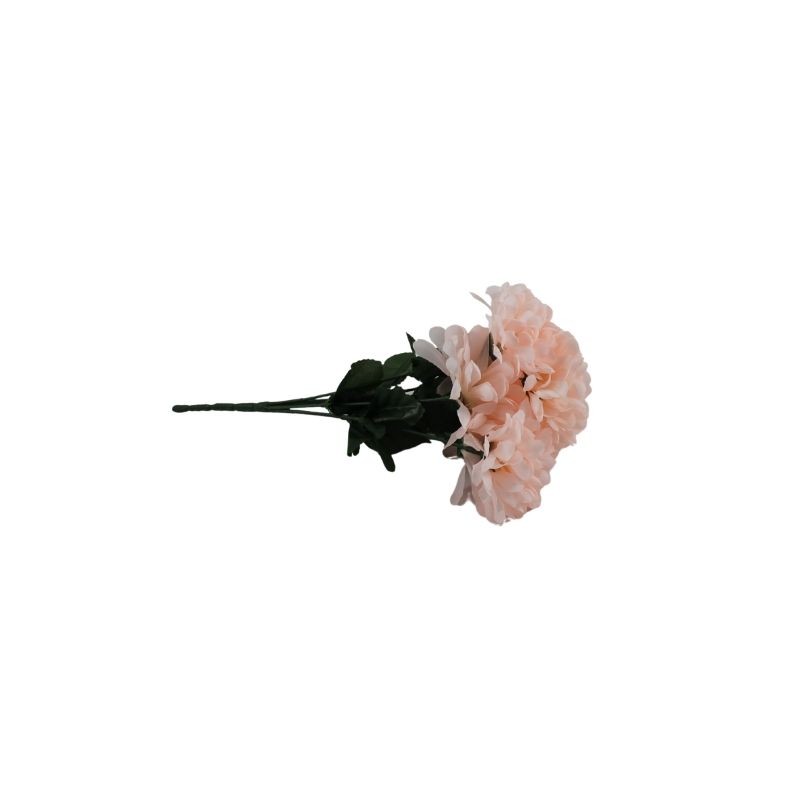 CRISANTEMO BLUSH X7