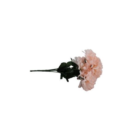 CRISANTEMO BLUSH X7