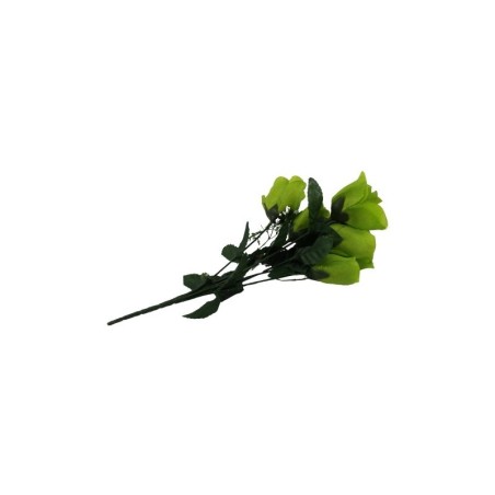 ROSAL BOTÓN VERDE LIMÓN X7