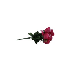 ROSAL BOTÓN FUCISA X7