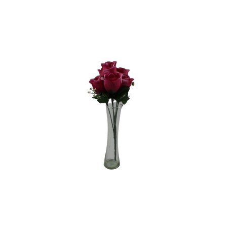 ROSAL BOTÓN FUCISA X7