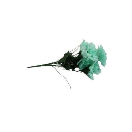 ROSAL ABIERTO AQUA X7