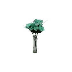 ROSAL ABIERTO AQUA X7