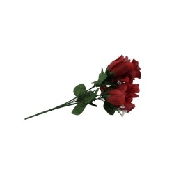ROSAL BOTÓN VINO X6