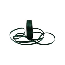 LISTÓN SATÍN NUM 1 VERDE BOTE PREMIUM