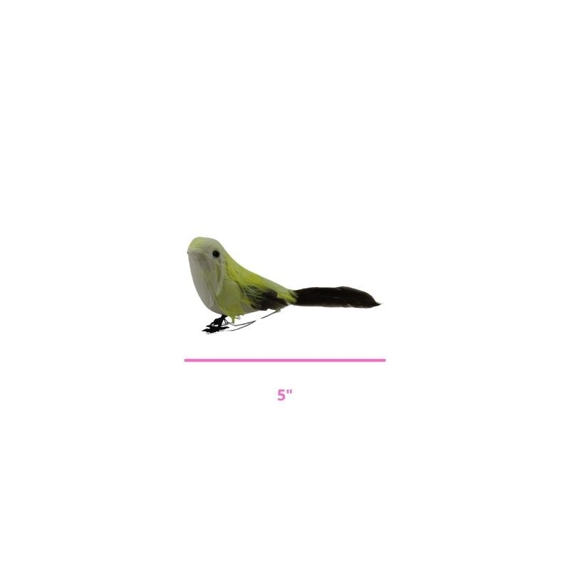 PAJARO 5 SURTIDO