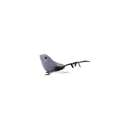 PAJARO 5 SURTIDO