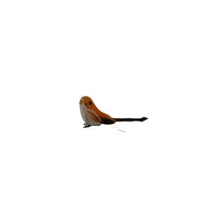PAJARO 5 SURTIDO