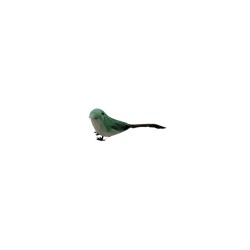 PAJARO 5 SURTIDO