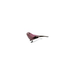PAJARO 5 SURTIDO