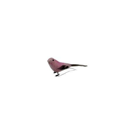 PAJARO 5 SURTIDO