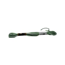 HILAZA PARA BORDAR VERDE M860/335