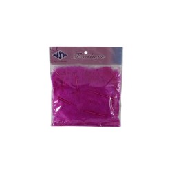 PLUMA DE PAVO FUCSIA
