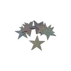 ESTRELLA HOLOGRAFICA PLATA