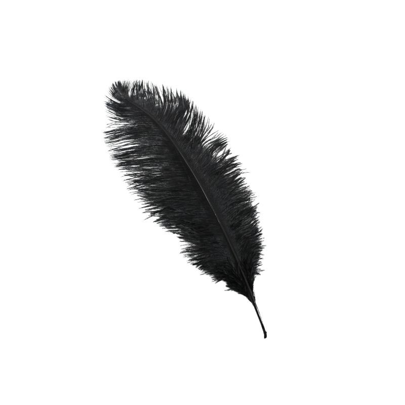 PLUMA DE AVESTRUZ NEGRA