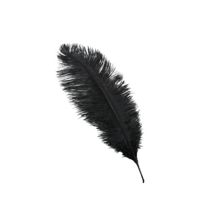 PLUMA DE AVESTRUZ NEGRA