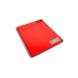 CUADERNO PROFESIONAL RAYA
