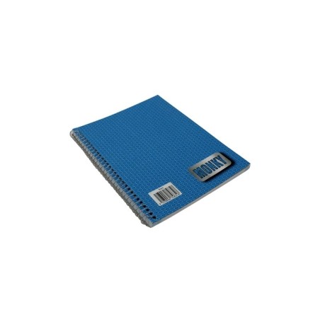 CUADERNO FRANCES RAYA