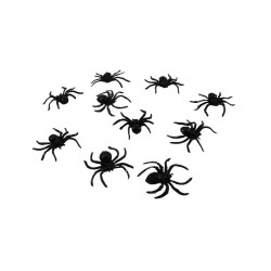 ARAÑA CHICA