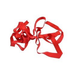 ELÁSTICO BRILLOSO ROJO